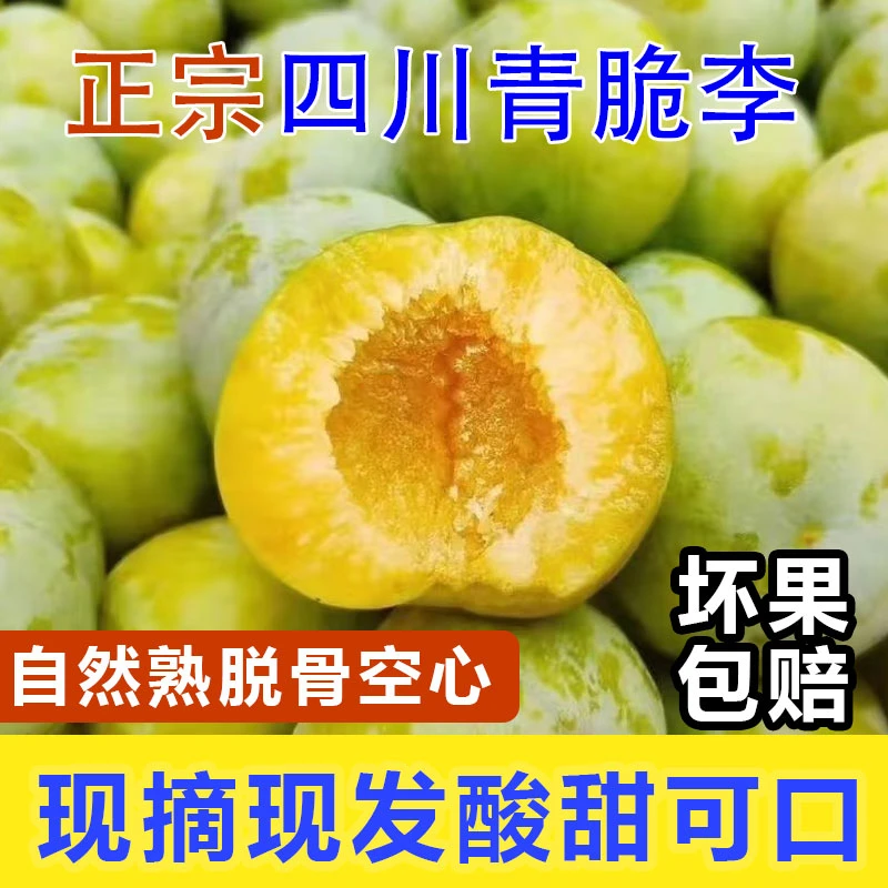 四川青脆李新鲜现摘酸甜多汁应季水果孕妇土李子