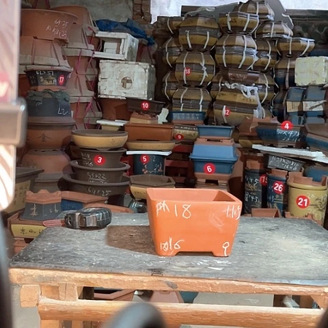 紫砂花每四方一个