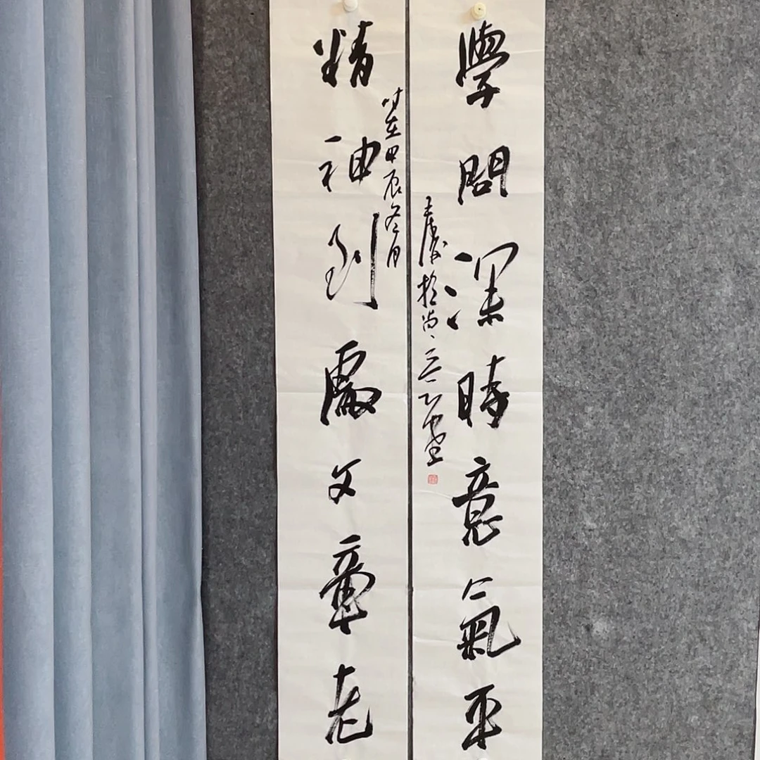 书法中书协会员王涛138×23×2