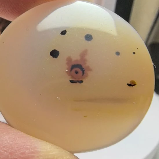 非金属时尚饰品12