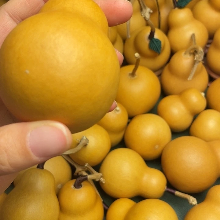 洗*葫芦花茶真的好好看