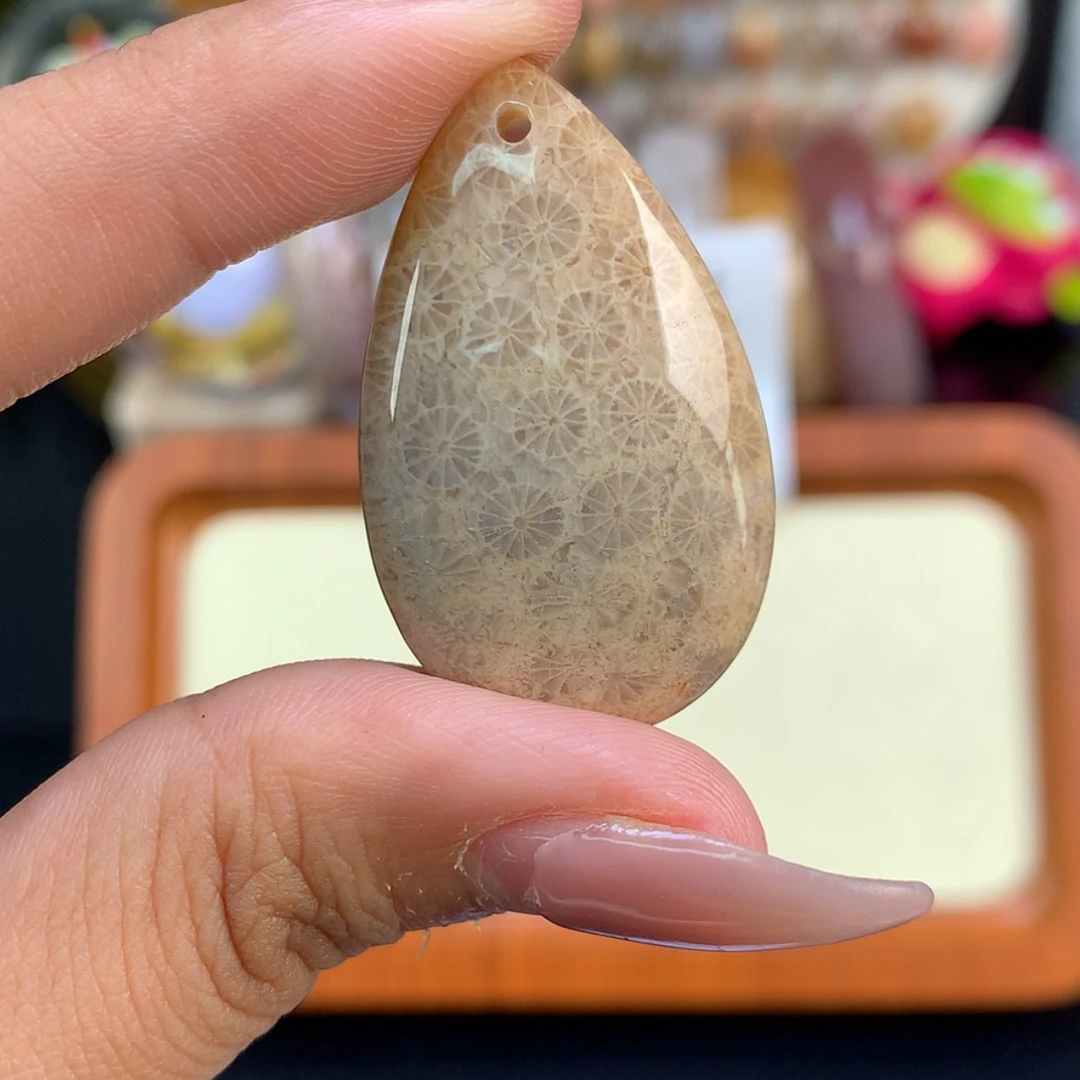 【闪购商品】颈饰未镶嵌硅化珊瑚（珊瑚玉）暖*