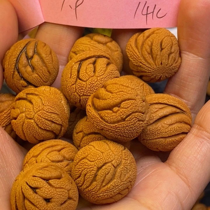 吊坠桃核秦岭龙纹桃核19尺寸