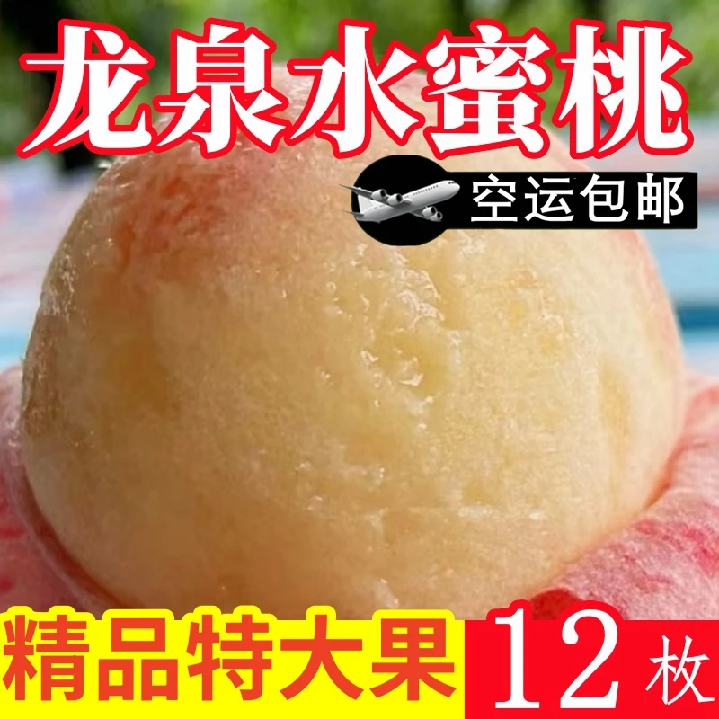【精品礼盒】四川桃子龙泉水蜜桃新鲜香甜时令水果可撕皮吃软桃包邮