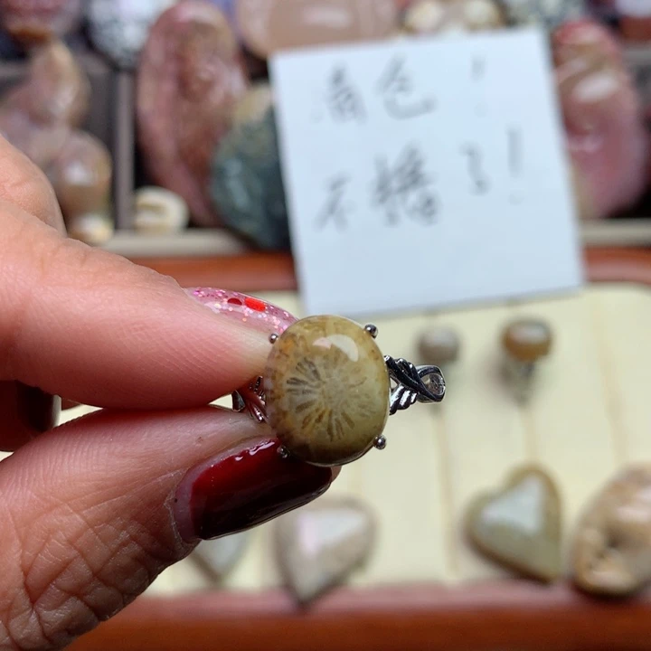 硅化珊瑚（珊瑚玉）颈饰未镶嵌太****阳