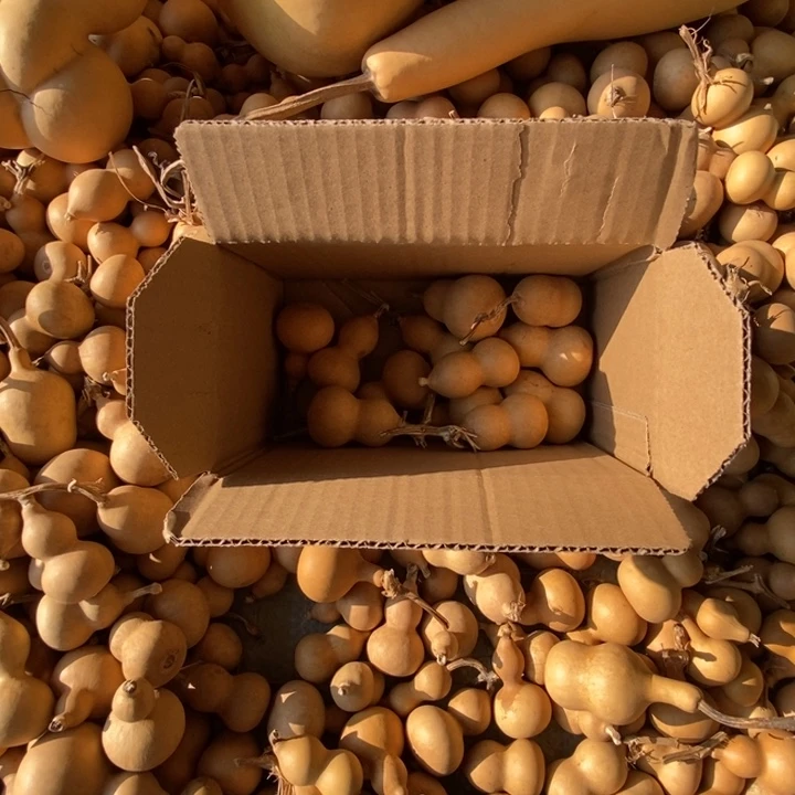 葫芦12个色差葫芦