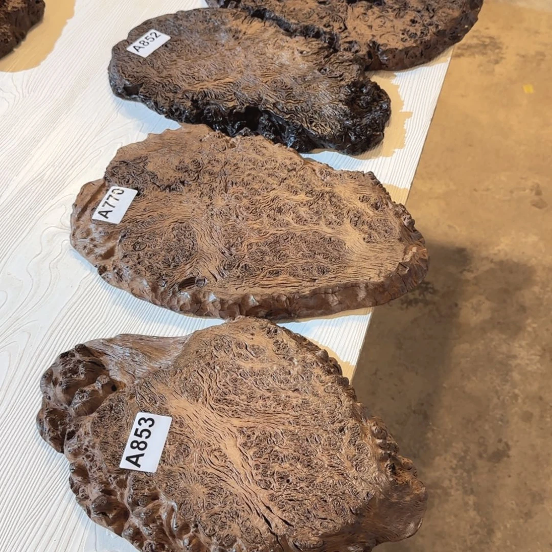 木***然木铁栎木 树瘤 随形 干泡台4个