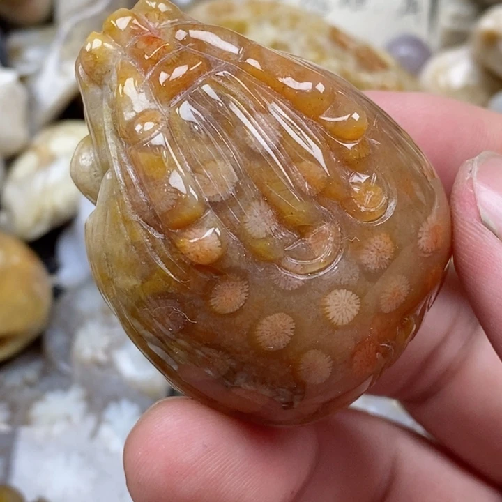 颈饰未镶嵌硅化珊瑚（珊瑚玉）