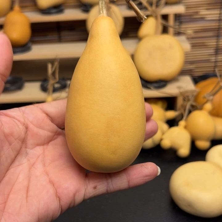 L*?555666666966699999