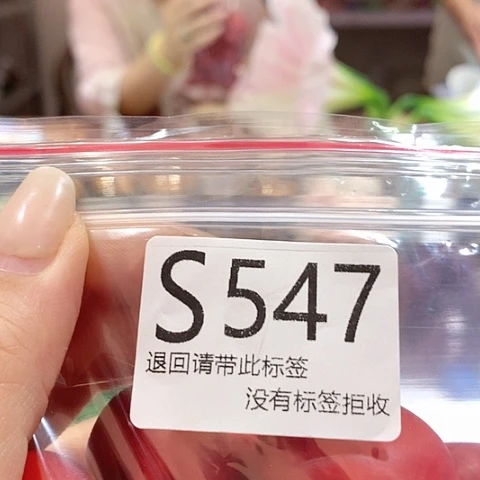 大叶紫檀（黑酸枝木类）547