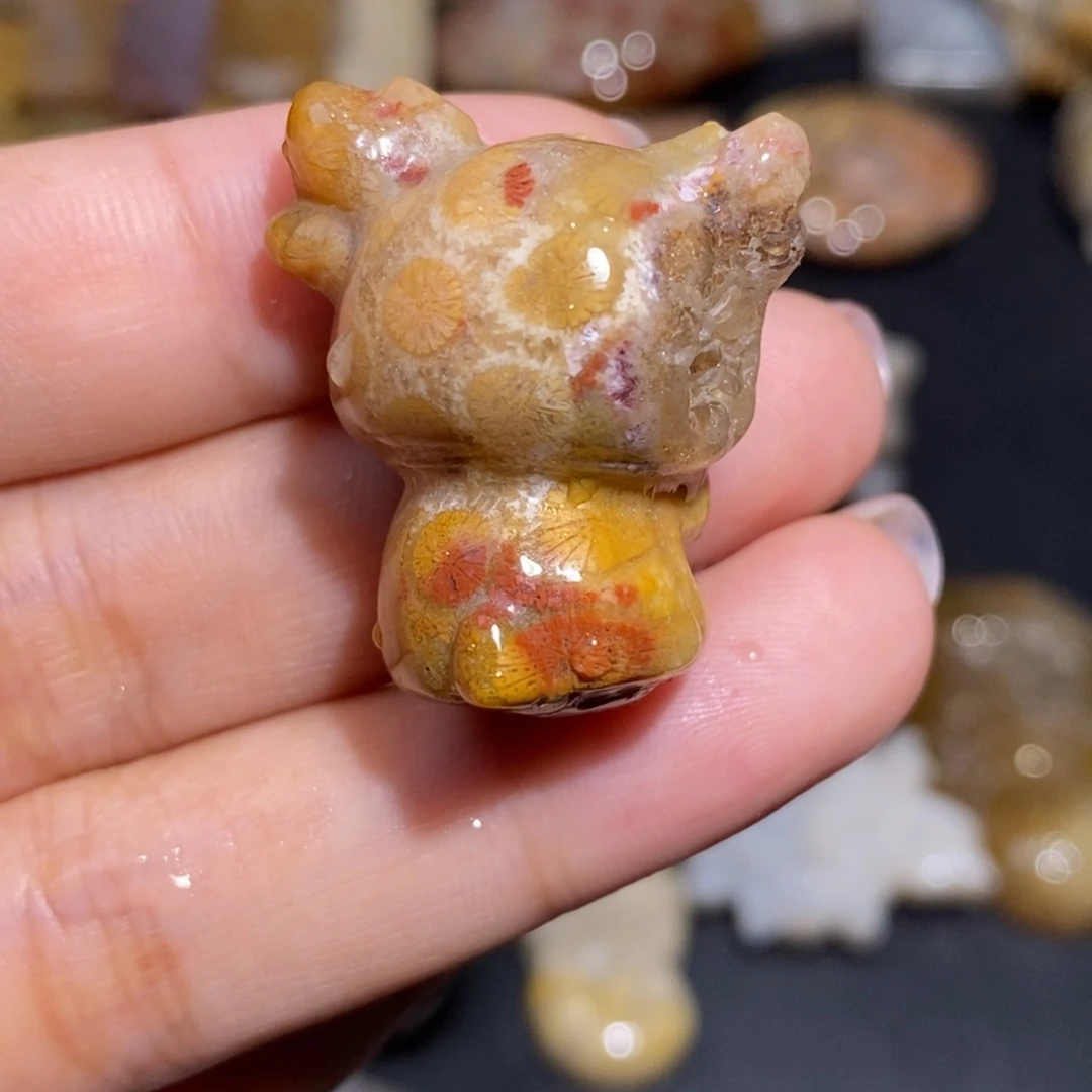 【闪购商品】硅化玉珊瑚玉未镶嵌