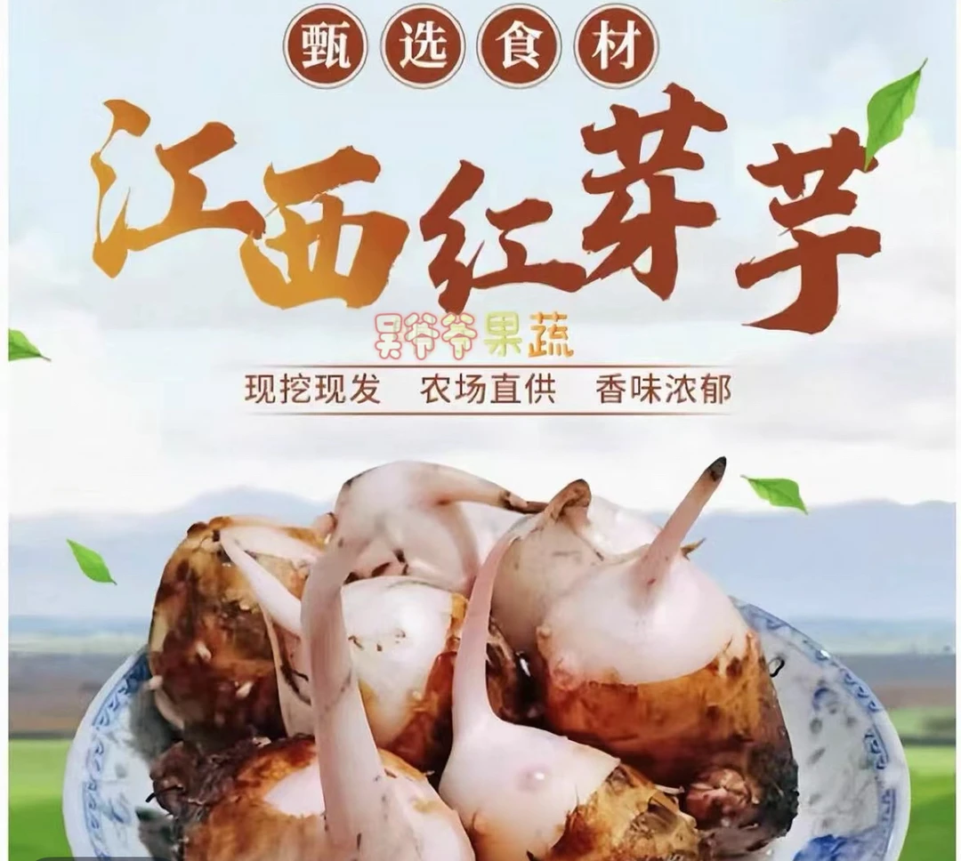 2025江西铅山红芽芋紫溪农家自种现挖现发头茬软弱香甜牛奶芋