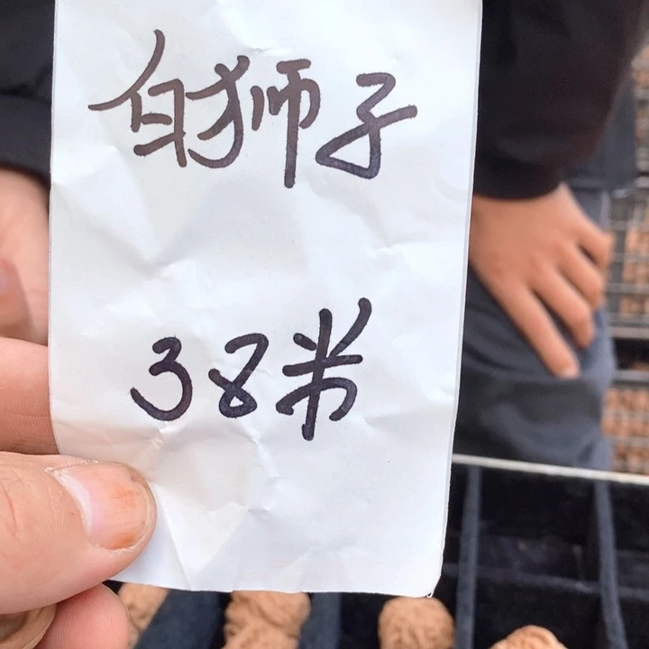 吊坠文玩核桃福利