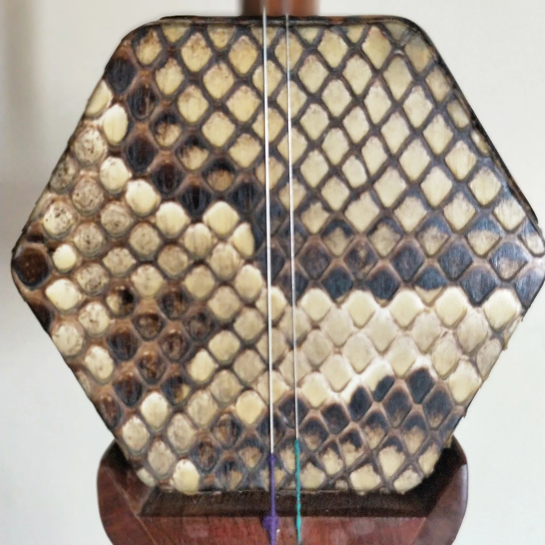 老挝黄花梨二胡。特殊皮。手工制作