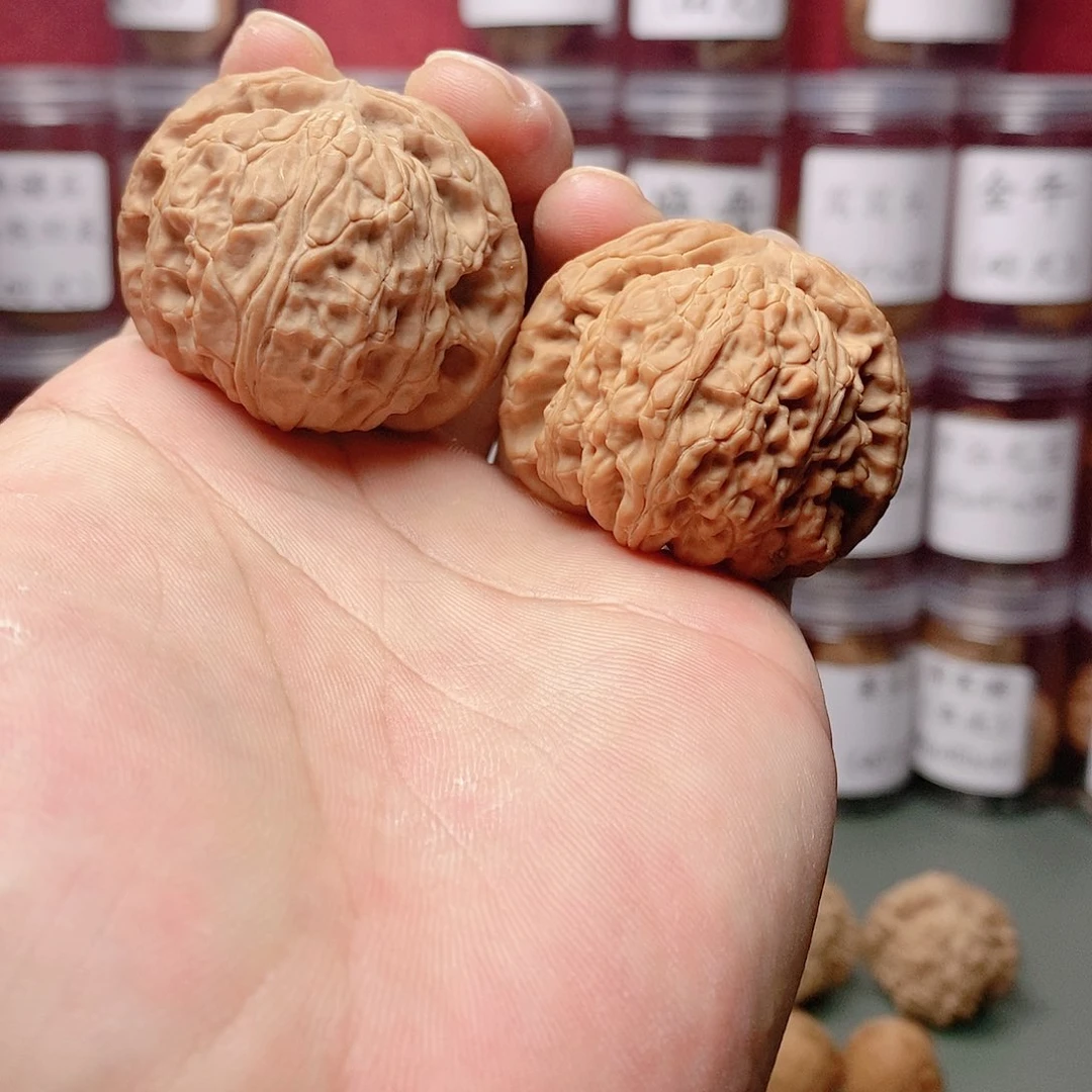 44尺全品精对白狮子