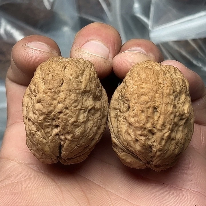 文玩核桃把件54号饕餮41尺