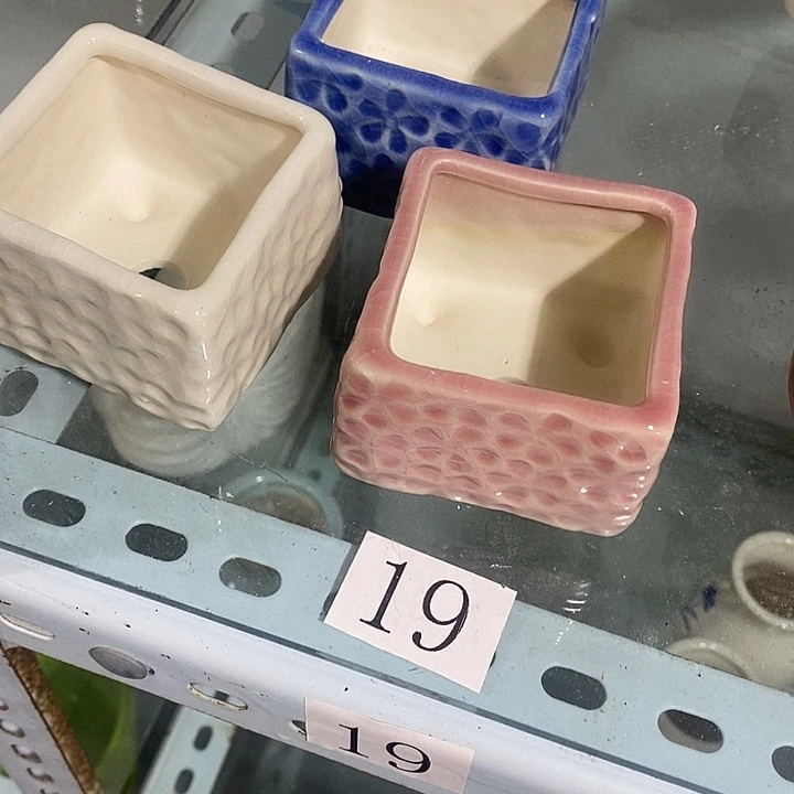 花盆抢购清货马上开始