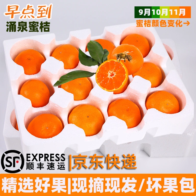 早点到【顺丰/京东】临海涌泉特早熟蜜桔柑橘子当季新鲜水果现摘发