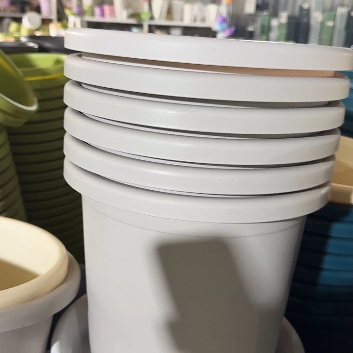 微瑕5#灰白6个无托