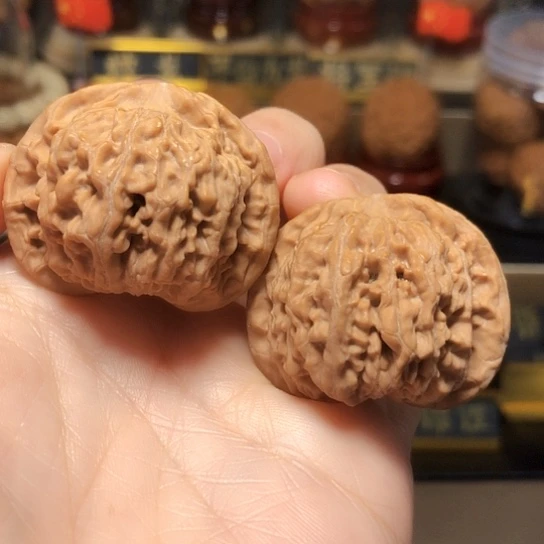 野生小众：第一矮