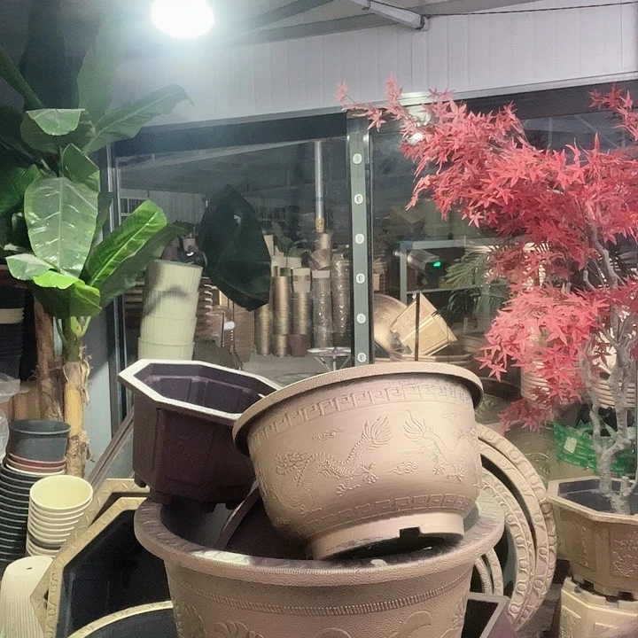 梅花照眼 依然旧风味