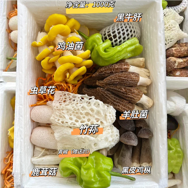 云南直发 七彩新鲜菌子组合 顺丰空运 菌菇蘑菇 煲汤火锅食材