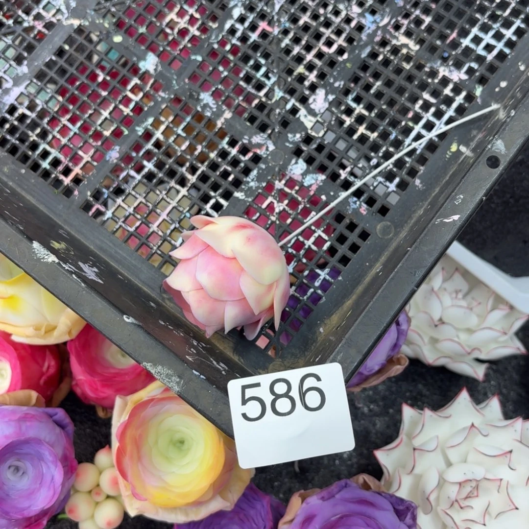 树脂586号哦哦哦哦哦哦哦