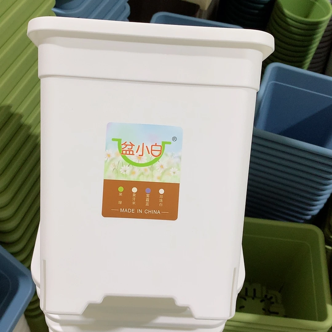 方口20白5个带托