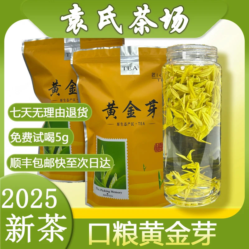 口粮黄金芽2025新茶谷雨茶袁氏茶业