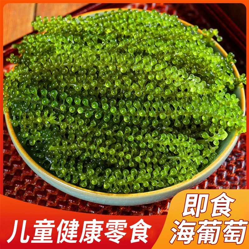 盐渍海葡萄新鲜即食儿童海洋蔬菜植物鱼子酱海藻凉拌菜水葡萄海草