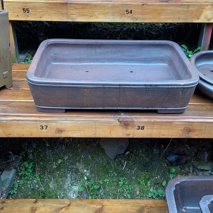 红陶嵊****地杨冬益紫砂花盆