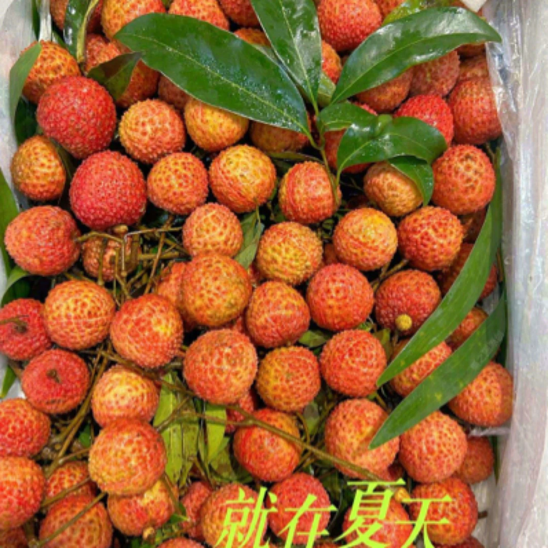 桂味荔枝荔枝2斤（配送到家）广东省