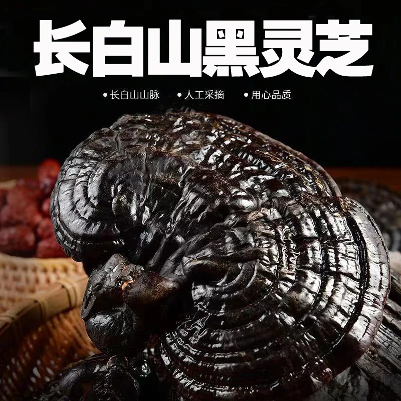黑灵芝 长白山灵芝 煲汤煮水