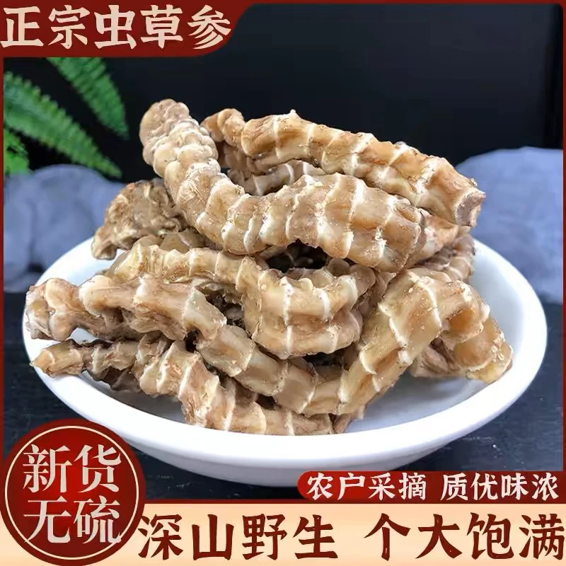 深山土特产地参 精选虫草参净重500克