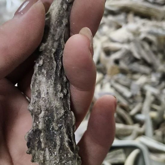 欣***贝陶瓷鹿角鹿角鹿角