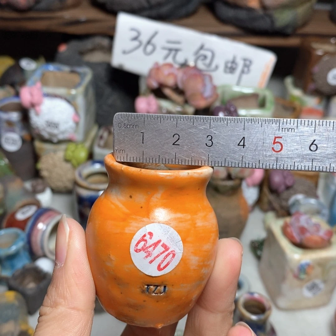 拍5送一个小礼物