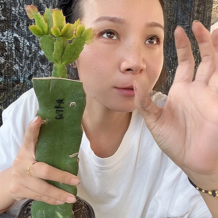 .***盛无花朵科太阳哈哈哈