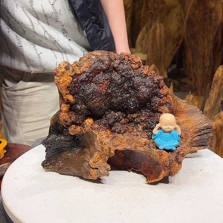 松木（琥珀木）龍松紧