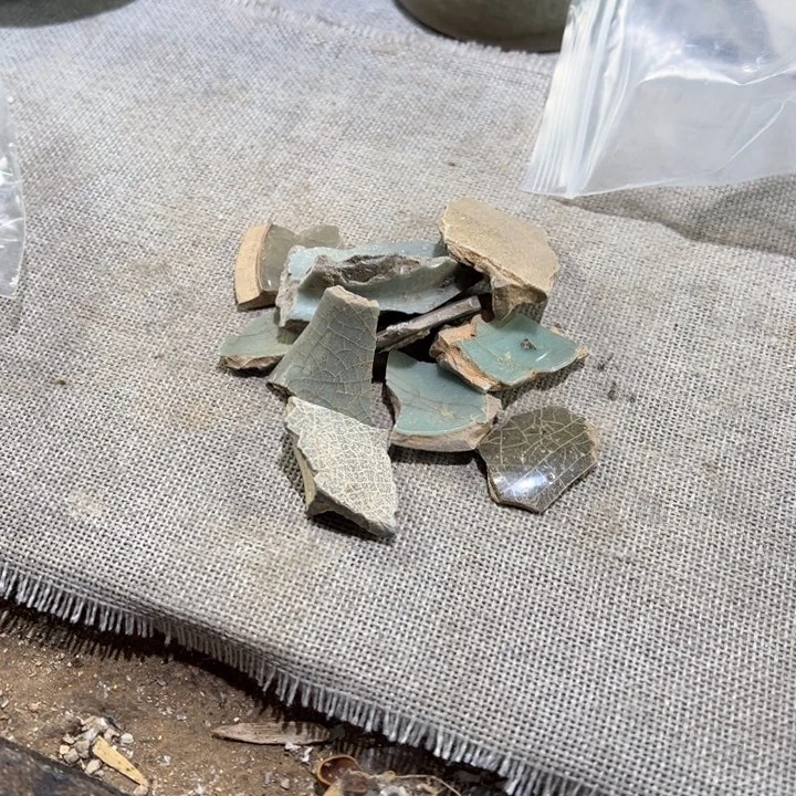 杯清****人龙泉窑瓷片标本