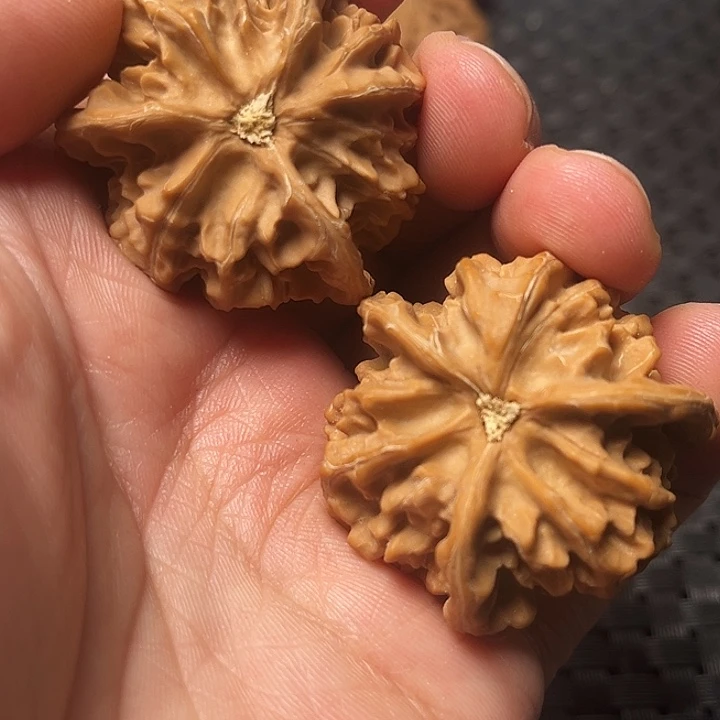 布***菇文玩核桃把件盘山三棱核桃文玩核桃三棱