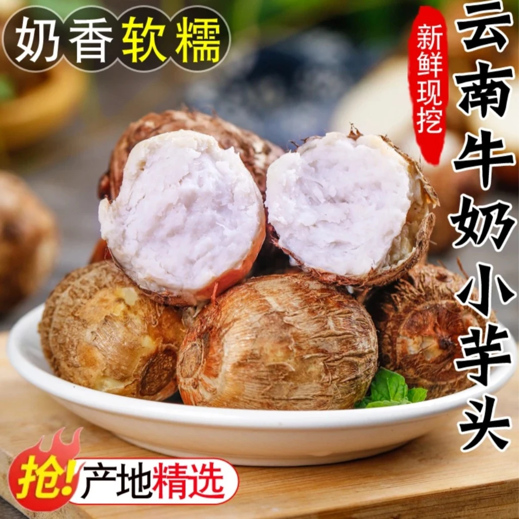 【牛奶芋头】云南新鲜牛奶小芋头现挖农家自种粉糯香芋