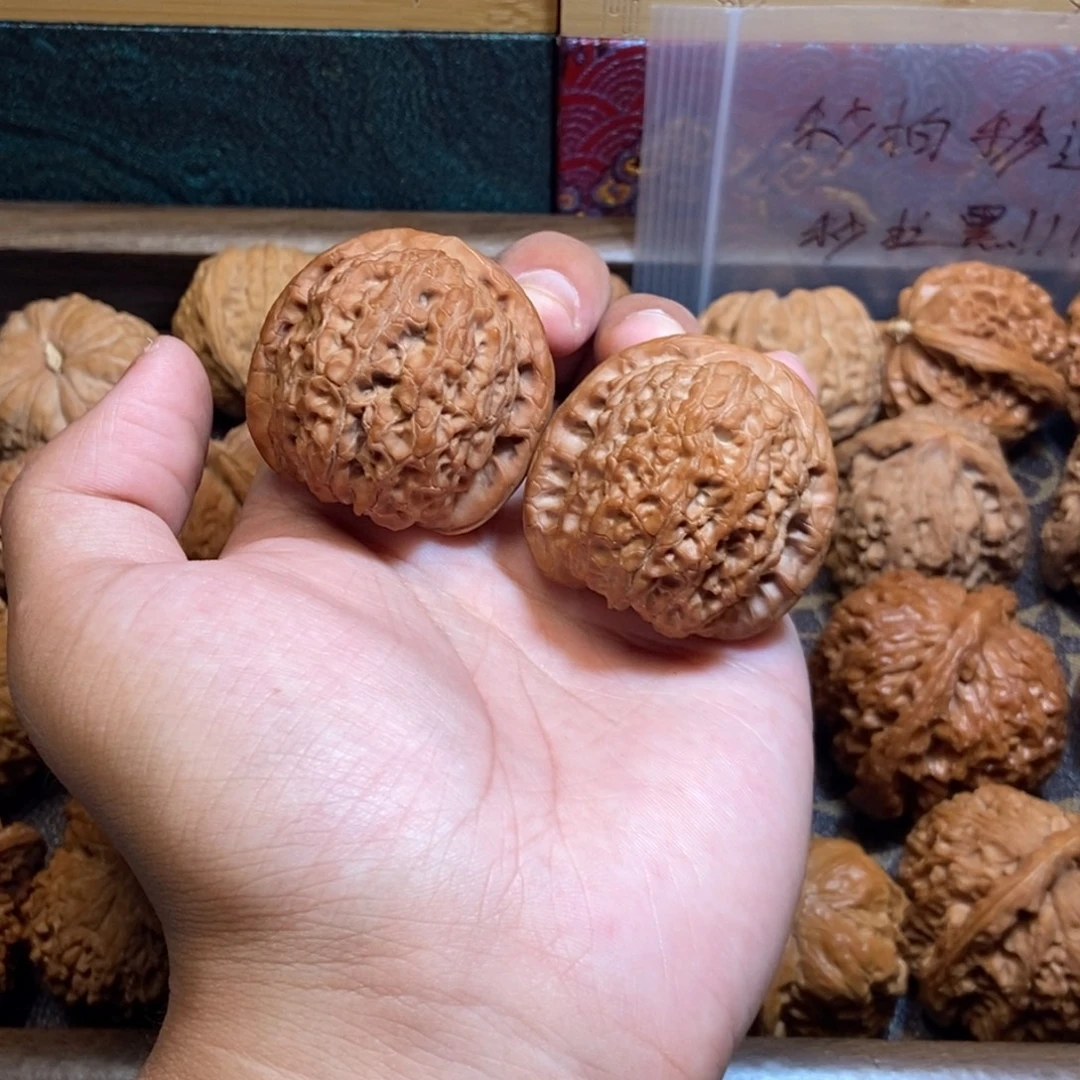 40全品血麒麟白茬