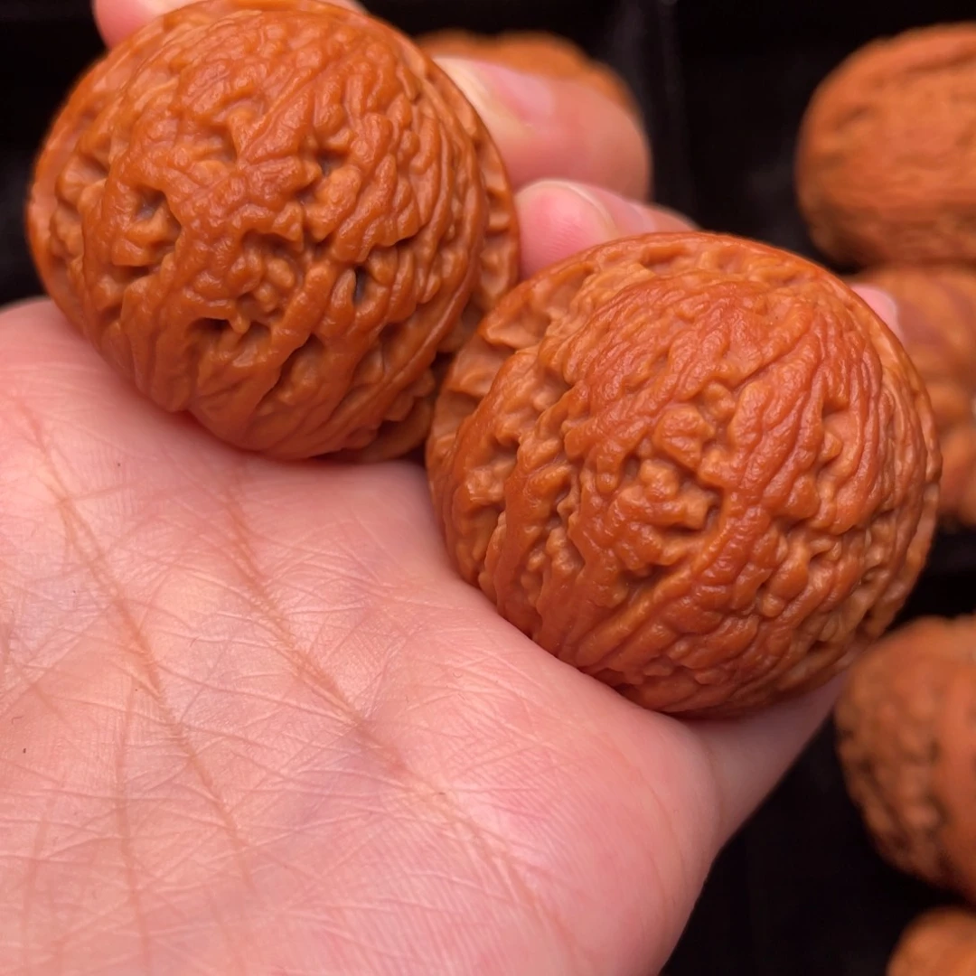 秦岭野生核桃文玩