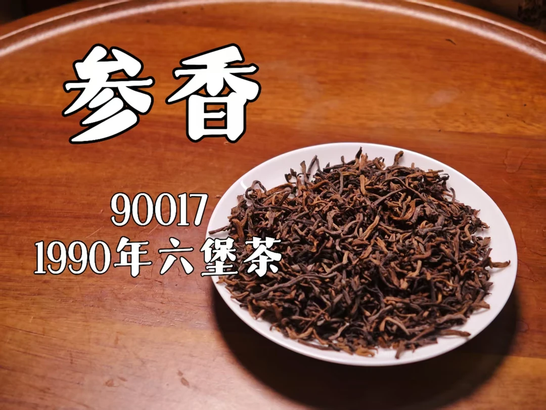 500g 90017桂青种原种特级老味参香 1990年六堡散茶A