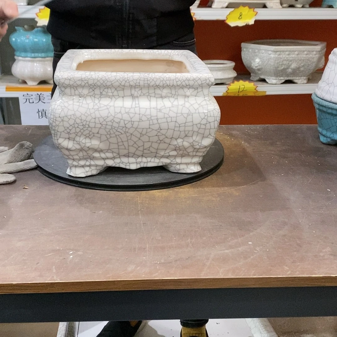 花盆花盆里放满鲜花