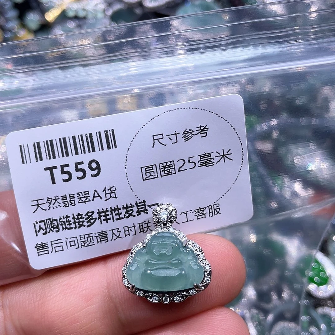 翡翠颈饰未镶嵌T5590000