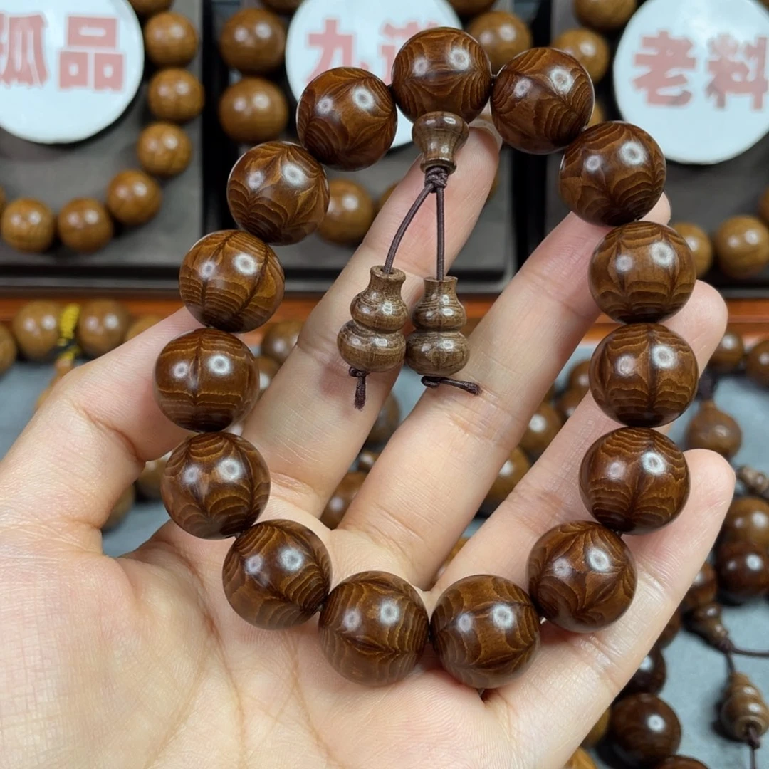 六道木枯树，毕业1.5