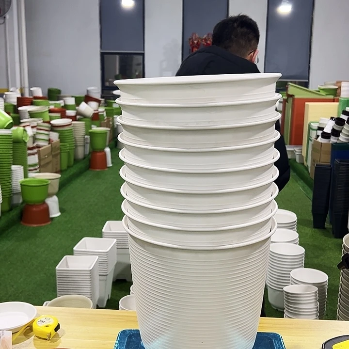 正品高陶口27高27白色4只无托