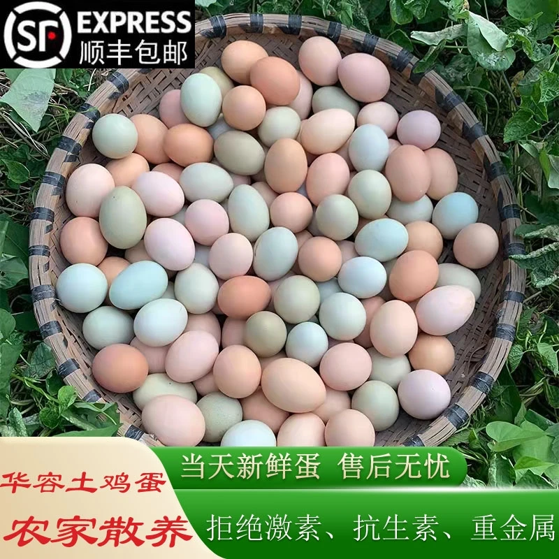华容土鸡蛋农村自养天然草鸡蛋乌绿壳蛋农产品营养蛋黄