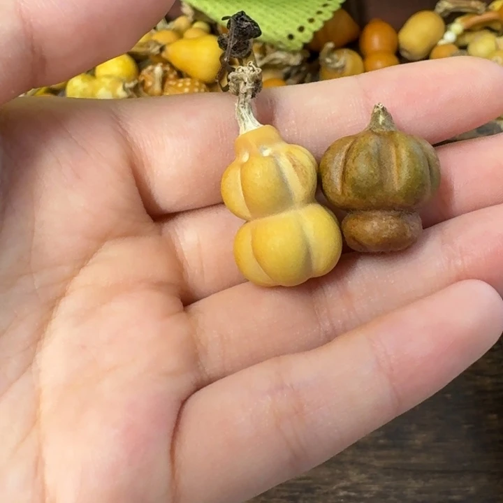 葫芦葫芦葫芦葫芦